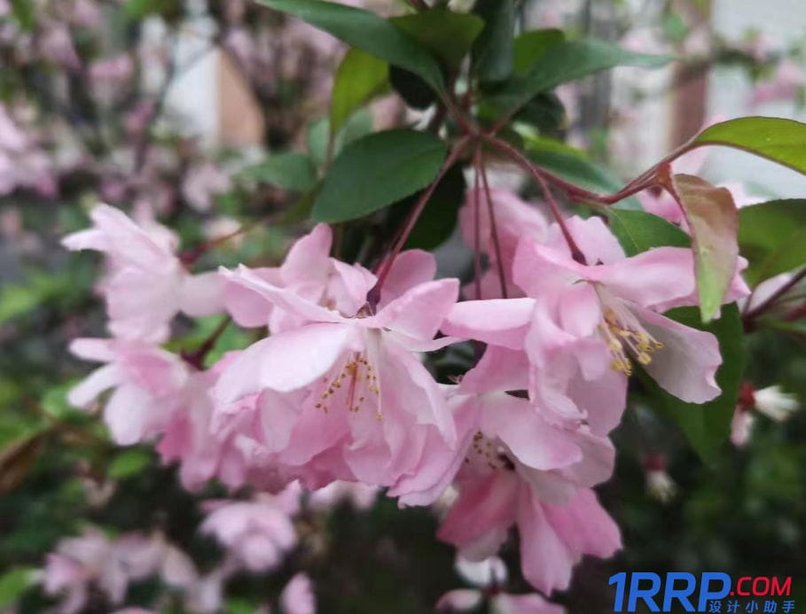 ps怎么讓模糊的照片變清晰？ps低像素圖片轉成高清-1